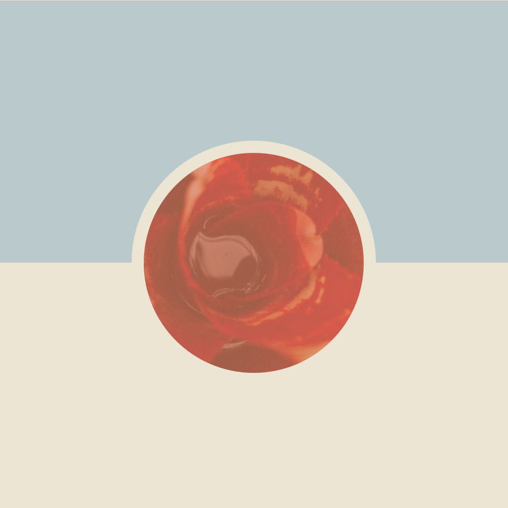 Featured image for Afternoon Beer