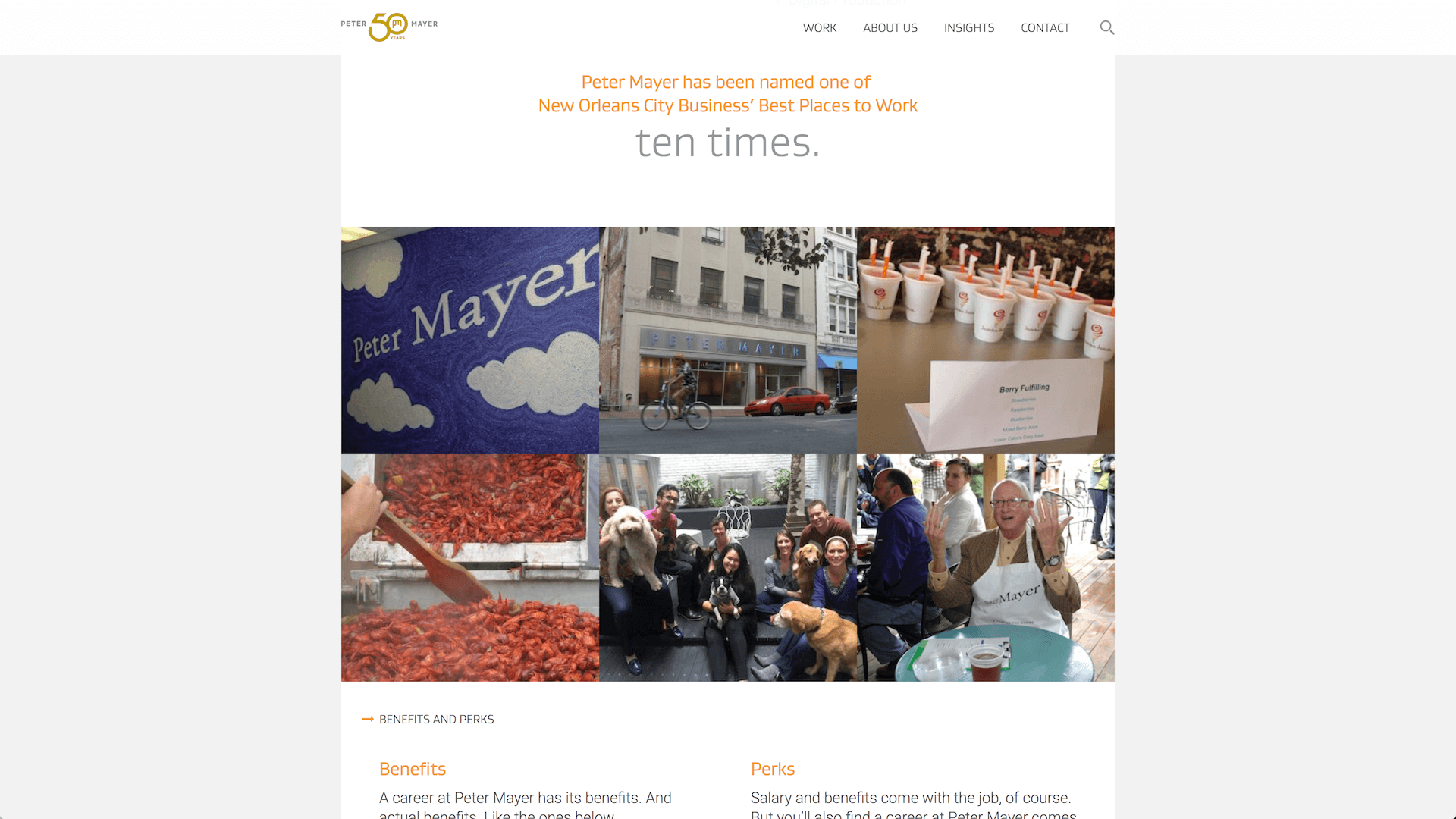 peter mayer careers page accolades and company images